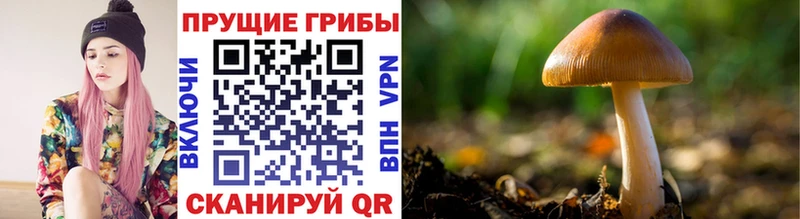 цены наркотик  Собинка  Псилоцибиновые грибы мицелий 